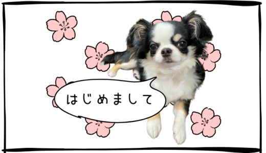 ごあいさつ