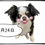 4月24日売買なし