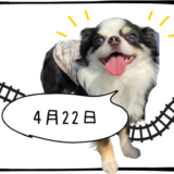 4月22日売買なし