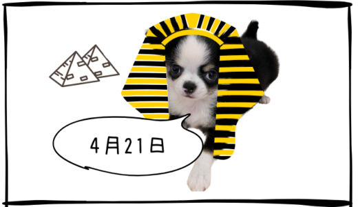 4月21日売買なし