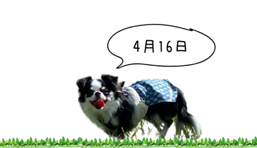 4月16日SHIFT買い