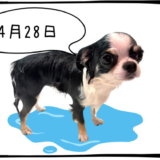 4月28日ディーエヌエー利確