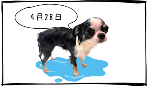 4月28日ディーエヌエー利確