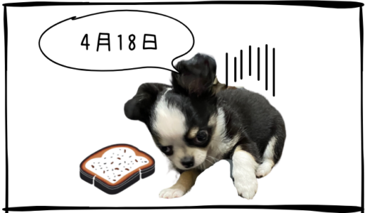 4月18日売買なし