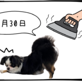 4月30日売買なし