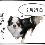 5月27日＜買＞大林組、日本電信電話