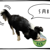 5月8日＜利確＞SHIFT