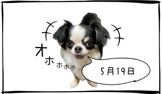 5月19日売買なし