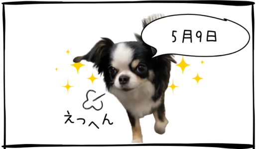 5月9日＜利確＞スカパーJSATHD