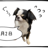 5月2日＜損切＞高島屋
