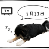 5月23日売買なし