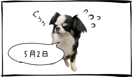 5月2日＜損切＞高島屋