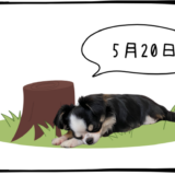 5月20日＜利確＞SHIFT
