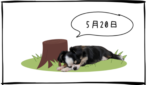 5月20日＜利確＞SHIFT