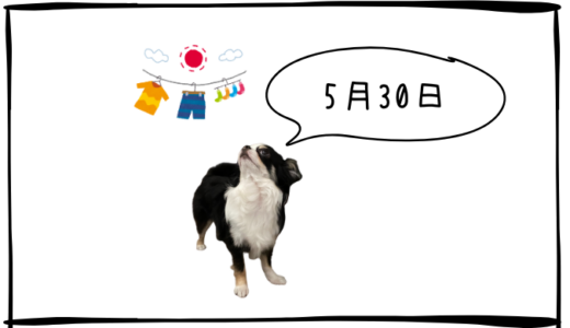 5月30日＜買＞任天堂