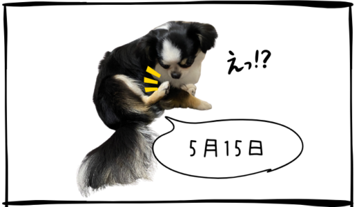 5月15日＜買＞楽天グループ