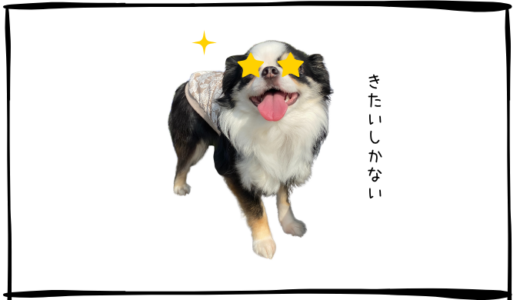 6月27日＜利確＞ディスコ