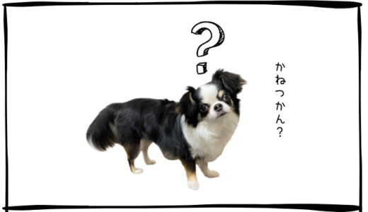 6月24日＜利確＞フジクラ
