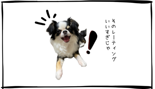 6月19日　売買なし