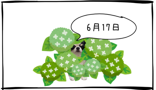 6月17日＜利確＞任天堂