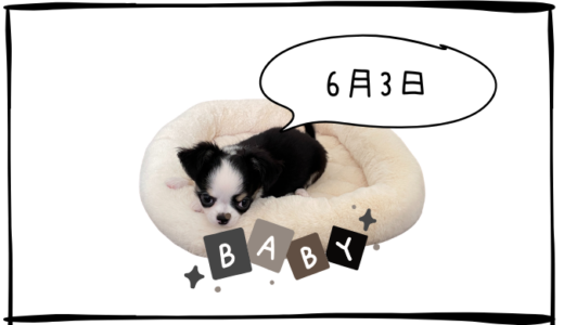 6月3日売買なし