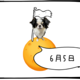 6月5日＜買＞富士通