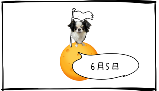 6月5日＜買＞富士通