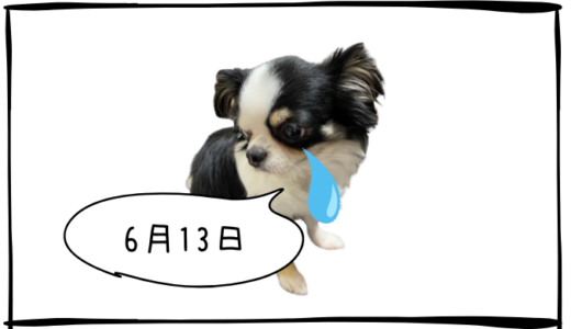 6月13日＜買＞フジクラ
