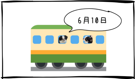 ６月10日＜利確＞関電工、＜買＞スギHD