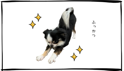 6月25日＜利確＞フジクラ