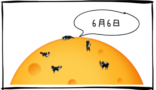6月6日＜買＞みずほフィナンシャルG