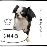 6月4日＜買＞関電工