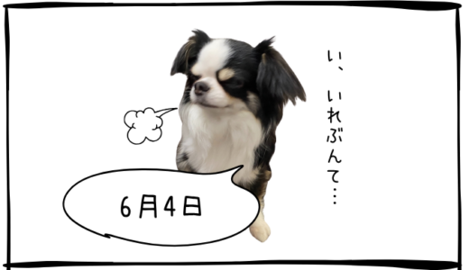 6月4日＜買＞関電工