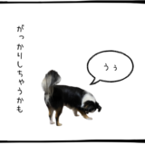 7月28日＜買＞レーザーテック、＜売＞名村造船所