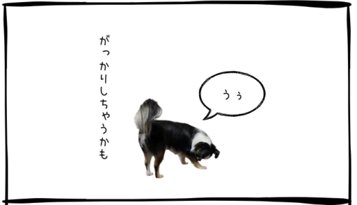 7月28日＜買＞レーザーテック、＜売＞名村造船所