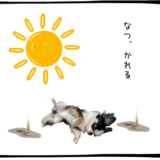 7月30日＜買＞清水建設