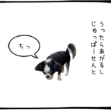 7月16日＜買＞QPS研究所、レーザーテック