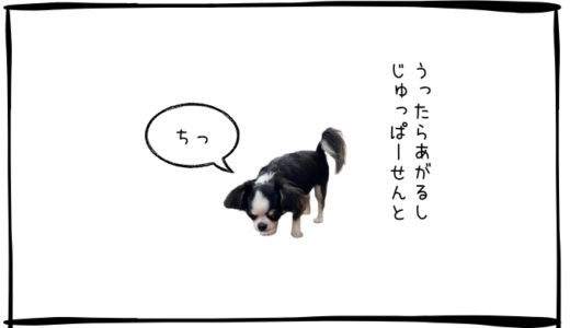 7月16日＜買＞QPS研究所、レーザーテック