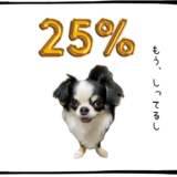 7月8日＜買＞QPS研究所