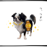 7月31日＜売＞王子HD