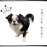 7月2日＜買＞古河電工