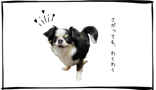 7月2日＜買＞古河電工