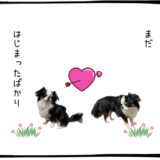 8月18日＜売＞QPS研究所