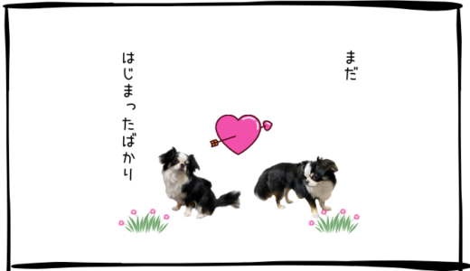 8月18日＜売＞QPS研究所