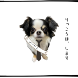 8月13日＜利確＞古河電工