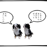 8月12日＜利確＞任天堂、三菱UFJ、＜買＞古河電工