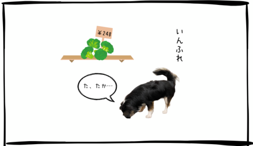 8月27日＜利確＞日揮HD、＜買＞東京海上HD