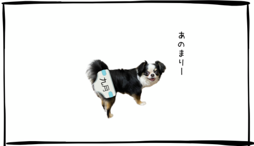 9月8日＜買＞日立
