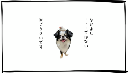 9月2日～4日＜利確＞日揮HD、＜買＞りそなHD、SHIFT