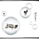 9月29日＜買＞パンパシフィックHD、味の素